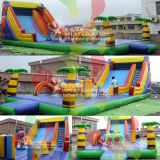 Inflatable Water Slide (LY-SL149)