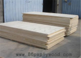 Poplar Plywood 13 Ply Plywood From China