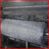 Hexagonal Wire Mesh (1/2