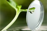 White Hi Index Lens