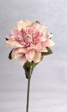 Decorative Plant (KA084499)