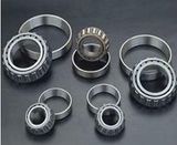 33022, 32007, 31312 Taper Roller Bearings