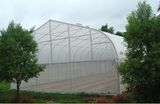 Greenhouse Netting