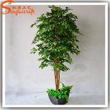 New Design Decorative Artificial Live Ficus Bonsai Plant Tree