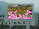 P6 Indoor Full Color LED Video Display