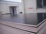 China Film Faced Plywood Marine Plywood Construction Plywood