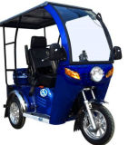 Deformed	Closed	Motor	Passenger	Handicapped Tricycle for Sale (SY110ZK-F)