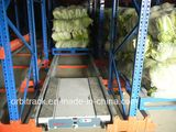 Warehouse Storage Radio Shuttle Rack (OBCSHJ-003)