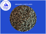 Origanic Fertilizer with Good Price