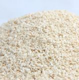 High Quality White Sesame with Best Price