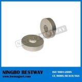 Radial Oriented Permanent Ring Magnet