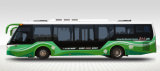Ankai 24-48 Seats Tourism Bus