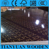 Goldluckplex Film Faced Plywood with Logo for Concrete Formwork