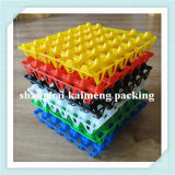 Coloful New Fancy Square Design Multiple Plastic Egg Tray for 30PCS