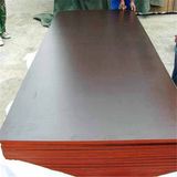 Qimeng Brand Marine Plywood with Best Quality and Price