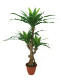 Yy-1683 Artificial Ginseng Rich Fern Tree, Large Ananas Trunk Rich Fern Tree, Small Arhat Trunk Rich Fern Plant