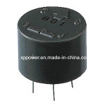 ISO/SGS Radial Type Leaded Power Inductors with Low DC Resistance, High Saturation Material and Polyolefin Shrink Tubing