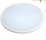 LED Ceiling/Wall Light