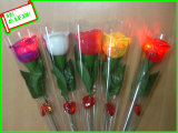 Lastest Red Rose Flower for Gift and Decoration