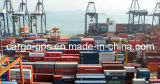 International Shipping, Cargo Ship, LCL to Manzanillo Mexico From China