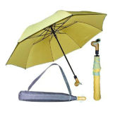 2 Section Golf Umbrella (BR-FU-34)
