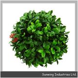 Topiary Ball Boxwood Topiary Tree Garden Decorations