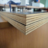 Yuncheng Tianyuan 25mm Marine Film Faced Plywood