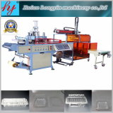 Hy-510580 Automatic Plastic Machinery for Produce Tray