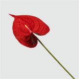 Yiwu Feel PU Simulation Flowers Simulation Plant Mini Anthurium Leaf Wedding Home Furnishings Floral Material