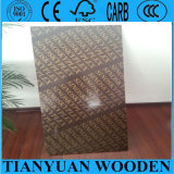 China Film Faced Shuttering Plywood /Concrete Form Plywood