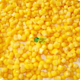 Fresh Non-Gmo China Canned Sweet Corn