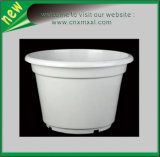 Biodegradable Seeding Pots with Different Sizes