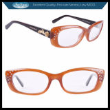 Dg3176f Brand Optical Frame Fancy Fashion Eyewear