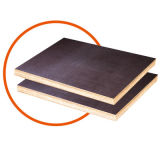 Waterproof Film Faced Plywood 1220X2440mm Using in Construction