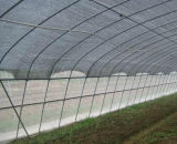 Sell Insect Netting