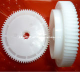 Small Nylon Transmission Spur Gear for Toys/Electric Motor