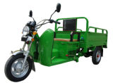2015 New Cargo Tricycle