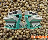 6 Chutes Coriander Sorting Machinery Good Quality