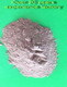 Bentonite for Drilling (CNPC and Sinopec Group supplier)