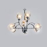 E27 60W Bulb Chandelier Lighting Pendant Lamp Tb1002-6L