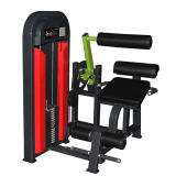 Bodybuilding Equipment Fitness for Back Extension (M2-1016)