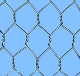 Hexagonal Wire Mesh