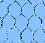 Hexagonal Wire Mesh