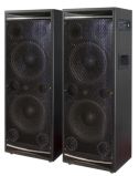 2.0 Professional Stage Speaker-Ailiang-Usbfm-2100c/2.0