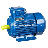 Y2 Series Triphase Electric Motor