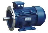 OEM Electrical Motor Supplier Y Y2 Ye2 Yx3 CE Motors