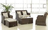 Outdoor Garden Rattan Sofa Furniture Set (BZ-R014)