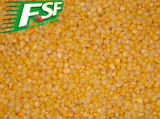 IQF Sweet Corn Kernel