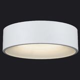 Dia400 Modern Indoor LED Ceiling Lamp Light for Home