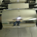 Packaging Printing Materials VMCPP with Heatsealable